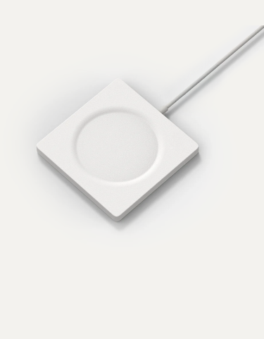 Anchor LPs and direct co-investors